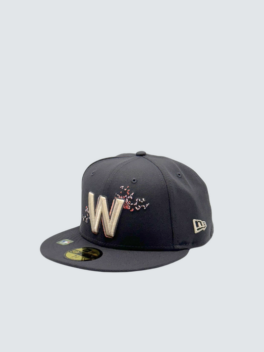 WASHINGTON NATIONALS CITY CONNECT GRIGIO